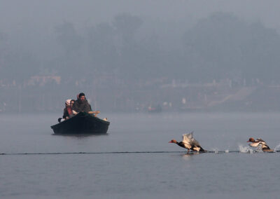 Purbasthali bird watching morning trip