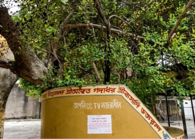 Kul gaach at Nabadwip Sribas Angan