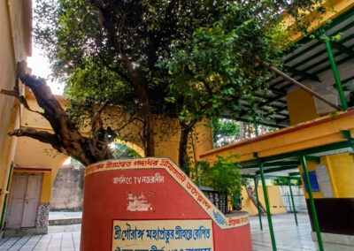 Kul gach at Sribas Angan, Nabadwip